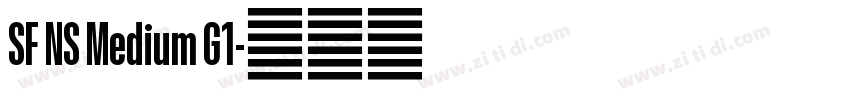 SF NS Medium G1字体转换 SF NS Medium G1字体转换